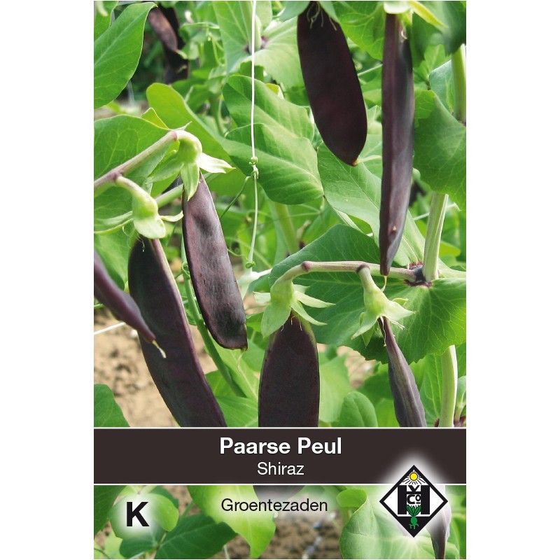 Paarse peul, Pisium sativum 'Shiraz' -zaden- Paarse peul, Pisium sativum 'Shiraz' -zaden-