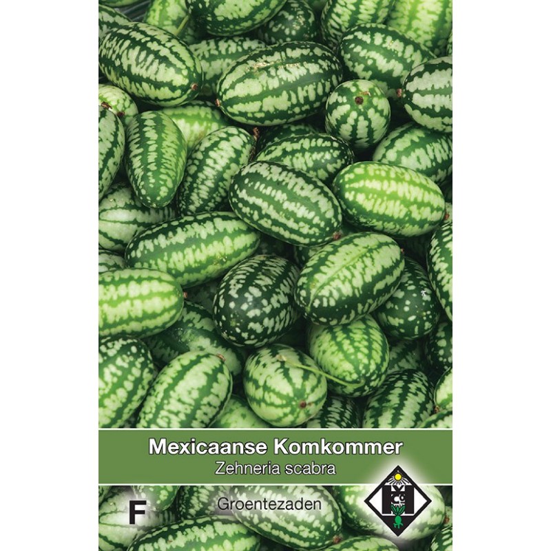 Mexicaanse Komkommer, Zehneria scabra -zaden- Mexicaanse Komkommer, Zehneria scabra -zaden-