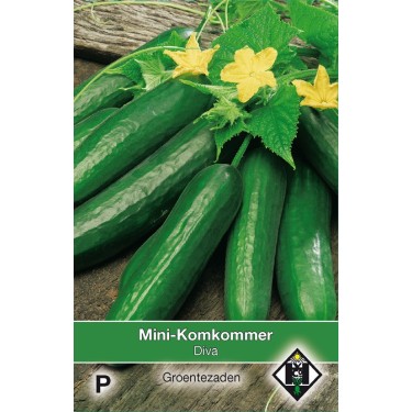Mini Komkommer 'Diva' -zaden-
