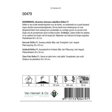 Boerenkool, Brassica oleracea sabellica 'Reflex F1' -zaden- Boerenkool, Brassica oleracea sabellica 'Reflex F1' -zaden-