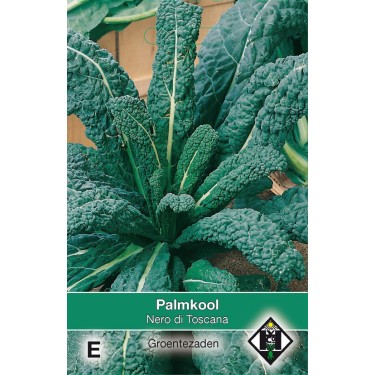 Palmkool, Brassica oleracea sabellica 'Nero di Toscana' -zaden-