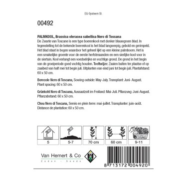 Palmkool, Brassica oleracea sabellica 'Nero di Toscana' -zaden- Palmkool, Brassica oleracea sabellica 'Nero di Toscana' -zaden-