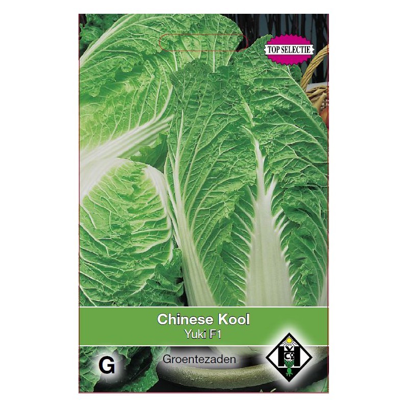Chinese kool, Brassica pekinensis 'Yuki F1' -zaden- Chinese kool, Brassica pekinensis 'Yuki F1' -zaden-