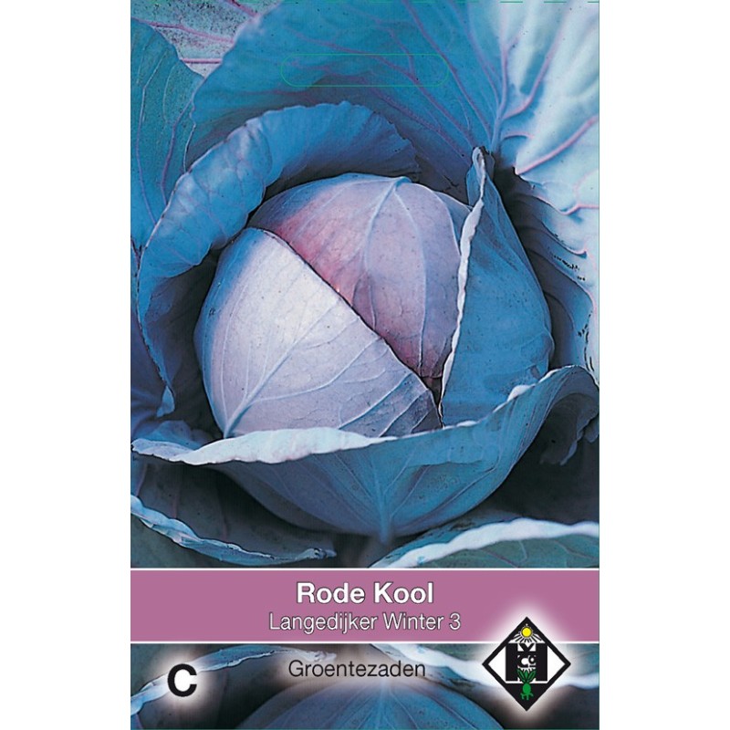 Rode kool, Brassica oleracea rubra 'Langedijker Winter 3' -zaden- Rode kool, Brassica oleracea rubra 'Langedijker Winter 3' -zaden-