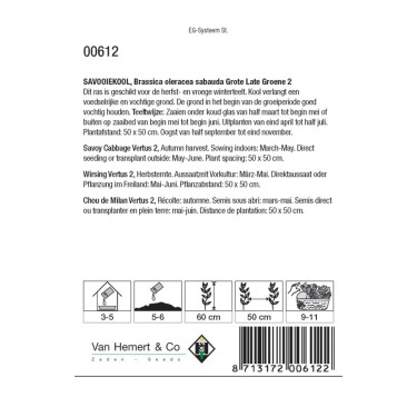 Savooiekool, Brassica oleracea sabauda 'Grote Late Groene 2' -zaden- Savooiekool, Brassica oleracea sabauda 'Grote Late Groene 2' -zaden-