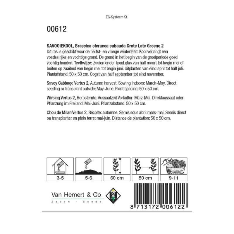 Savooiekool, Brassica oleracea sabauda 'Grote Late Groene 2' -zaden- Savooiekool, Brassica oleracea sabauda 'Grote Late Groene 2' -zaden-