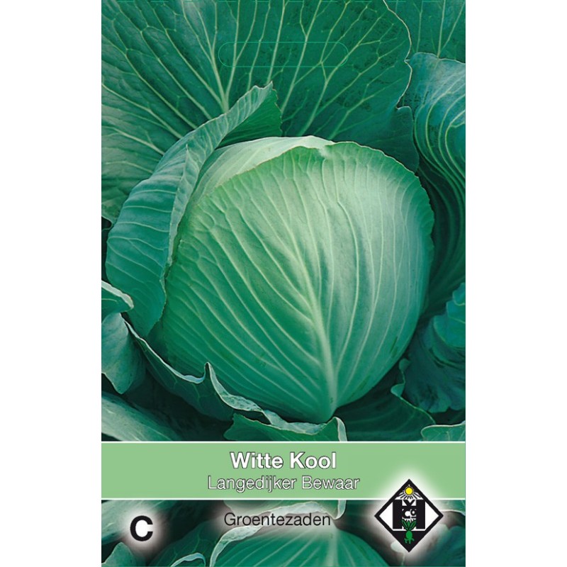 Witte kool, Brassica oleracea alba 'Langedijker Bewaar' -zaden-