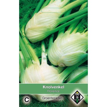Knolvenkel, Foeniculum vulgare 'Florence' -zaden-