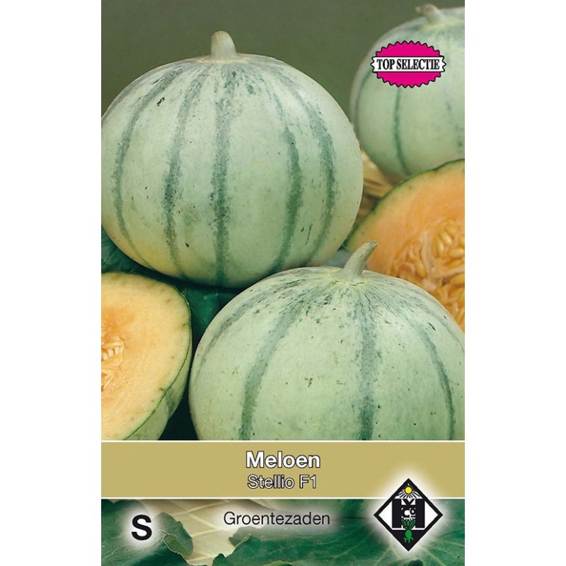 Meloen, Cucumis melo 'Stellio F1' -zaden- Meloen, Cucumis melo 'Stellio F1' -zaden-