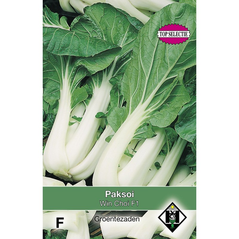 Paksoi, Brassica chinensis Win Choi F1 -zaden- Paksoi, Brassica chinensis Win Choi F1 -zaden-