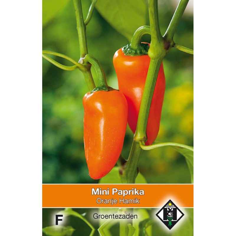 Paprika, mini Capsicum annuum 'Oranje Hamik' -zaden- Paprika, mini Capsicum annuum 'Oranje Hamik' -zaden-