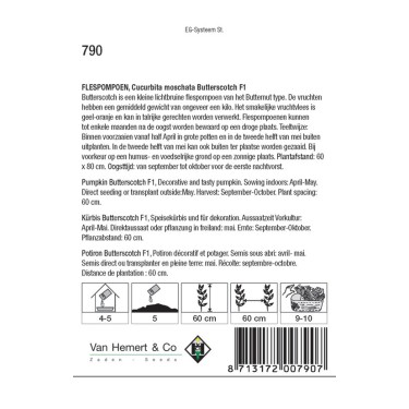 Flespompoen, Cucurbita moschata Butterscotch F1 -zaden- Flespompoen, Cucurbita moschata Butterscotch F1 -zaden-