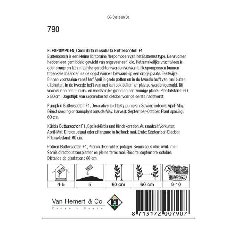 Flespompoen, Cucurbita moschata Butterscotch F1 -zaden- Flespompoen, Cucurbita moschata Butterscotch F1 -zaden-