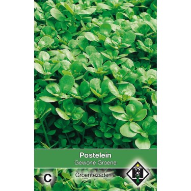 Postelein, Portulaca oleracea 'Gewone Groene' -zaden-