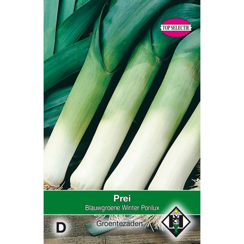 Prei, Allium porrum 'Blauwgroene Winter Porilux' -zaden- Prei, Allium porrum 'Blauwgroene Winter Porilux' -zaden-