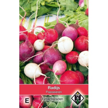 Radijs, Paaseieren -zaden-