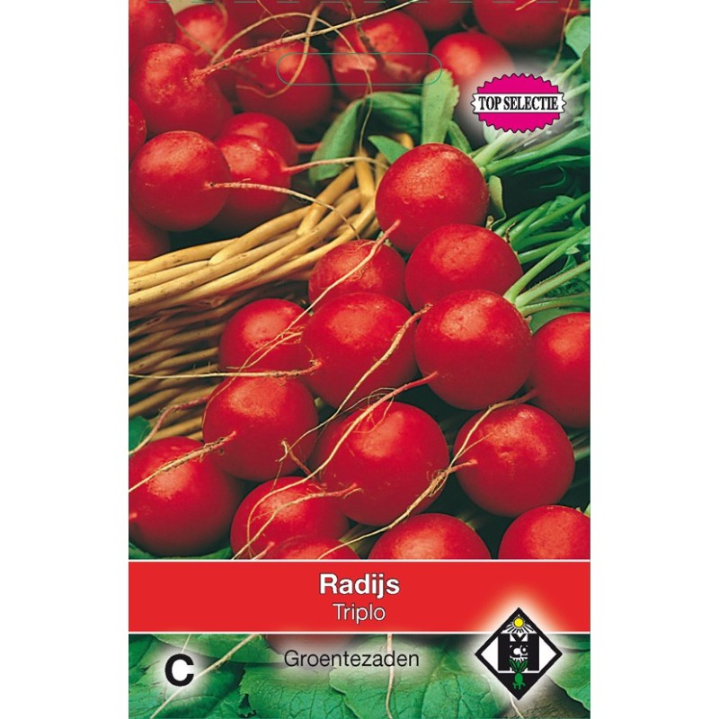 Radijs, Raphanus sativus 'Raxe' -zaden- Radijs, Raphanus sativus 'Raxe' -zaden-