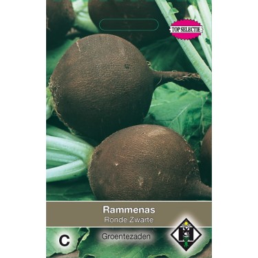 Rammenas, Raphanus sativus 'Ronde Zwarte' -zaden-