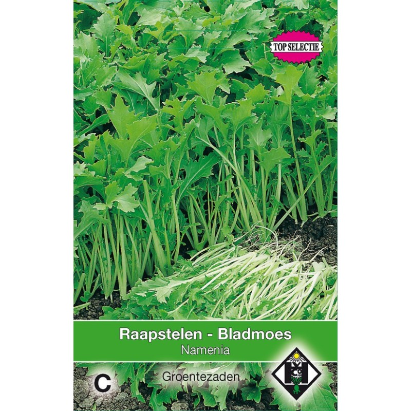 Raapstelen - Bladmoes, Brassica campestris 'Verbeterde of Namenia' -zaden- Raapstelen - Bladmoes, Brassica campestris 'Verbeterde of Namenia' -zaden-