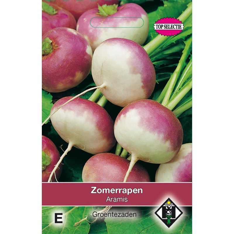 Zomerrapen, Brassica rapa 'Aramis' -zaden-