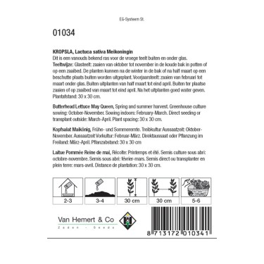 Kropsla, Lactuca sativa 'Meikoningin' -zaden-