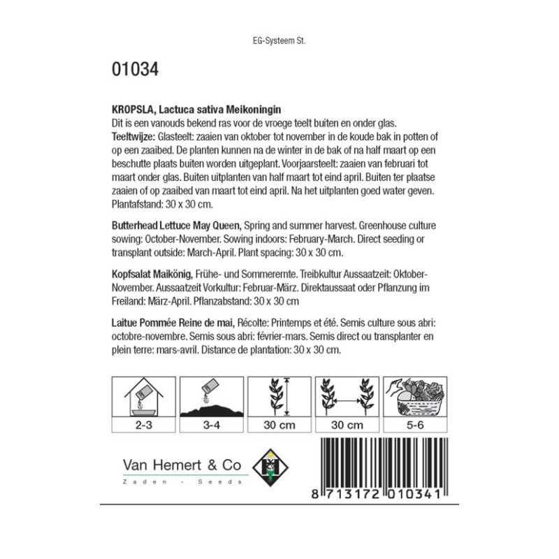 Kropsla, Lactuca sativa 'Meikoningin' -zaden-