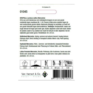 Kropsla, Lactuca sativa 'Mercurion' -zaden-