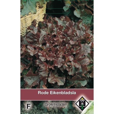 Rode Eikenbladsla, Lactuca sativa -zaden-