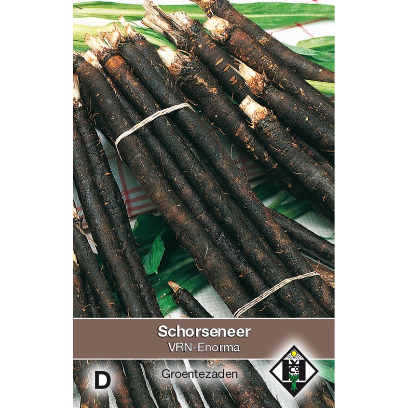Schorseneer, Scorzonera hispanica 'VRN-Enorma' -zaden- Schorseneer, Scorzonera hispanica 'VRN-Enorma' -zaden-