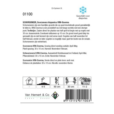 Schorseneer, Scorzonera hispanica 'VRN-Enorma' -zaden- Schorseneer, Scorzonera hispanica 'VRN-Enorma' -zaden-