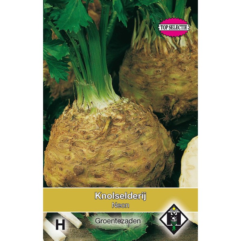 Knolselderij, Apium graveolens 'Neon' -zaden- Knolselderij, Apium graveolens 'Neon' -zaden-