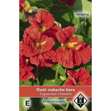 Tropaeolum majus nanum 'Cherelle' -zaden-
