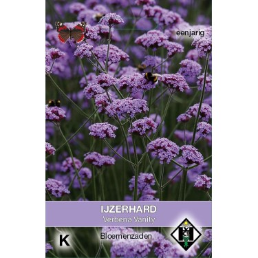 Verbena bonariensis 'Vanity' -zaden-