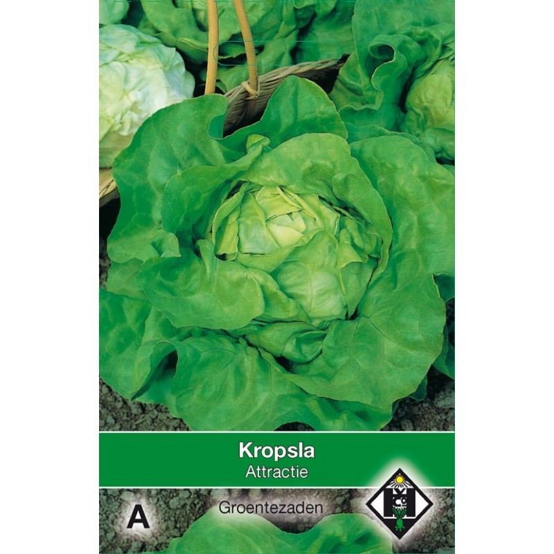 Kropsla Attractie -zaden- Kropsla Attractie -zaden-