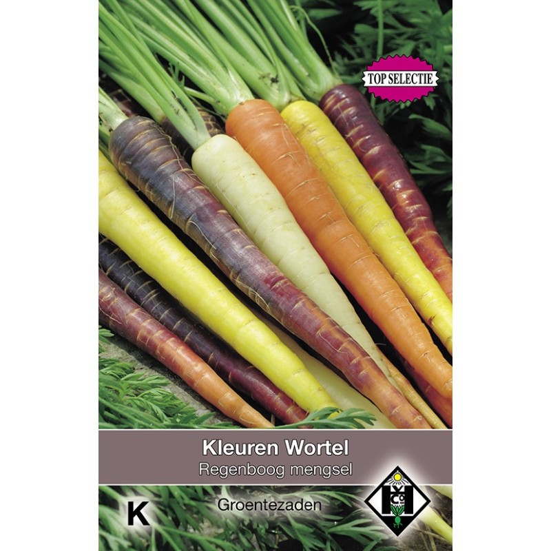 Kleuren Wortel, Daucus carota Regenboog Mengsel F1 -zaden- Kleuren Wortel, Daucus carota Regenboog Mengsel F1 -zaden-