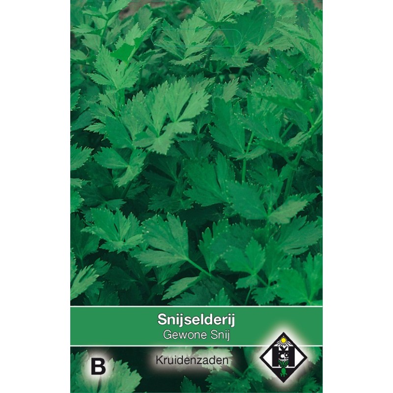 Selderij / Apium Gewone Snij -zaden- Selderij / Apium Gewone Snij -zaden-