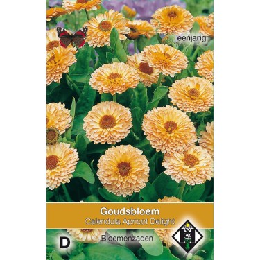 Calendula officinalis 'Apricot Delight' -zaden-