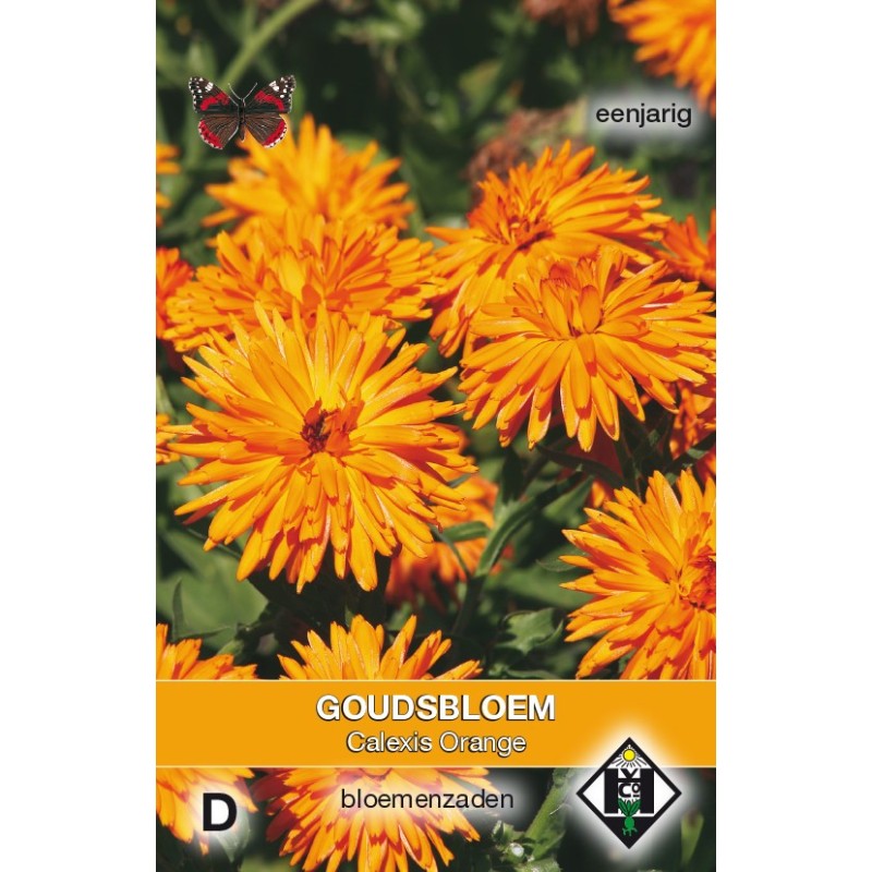 Calendula officinalis 'Calexis Orange' -zaden- Calendula officinalis 'Calexis Orange' -zaden-