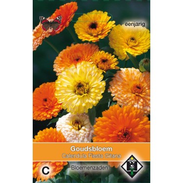 Calendula officinalis 'Fiesta Gitana' -zaden-