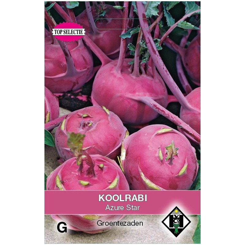 Koolrabi, Brassica oleracea gongylodes 'Azure Star' -zaden- Koolrabi, Brassica oleracea gongylodes 'Azure Star' -zaden-