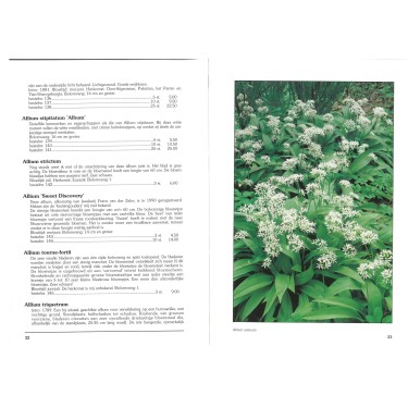 Catalogus 1991