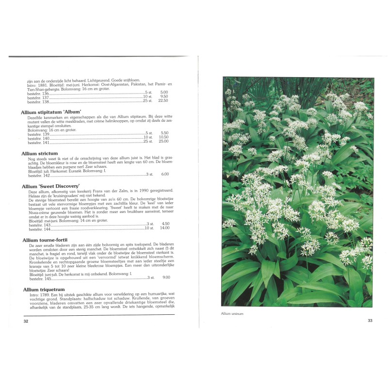 Catalogus 1991