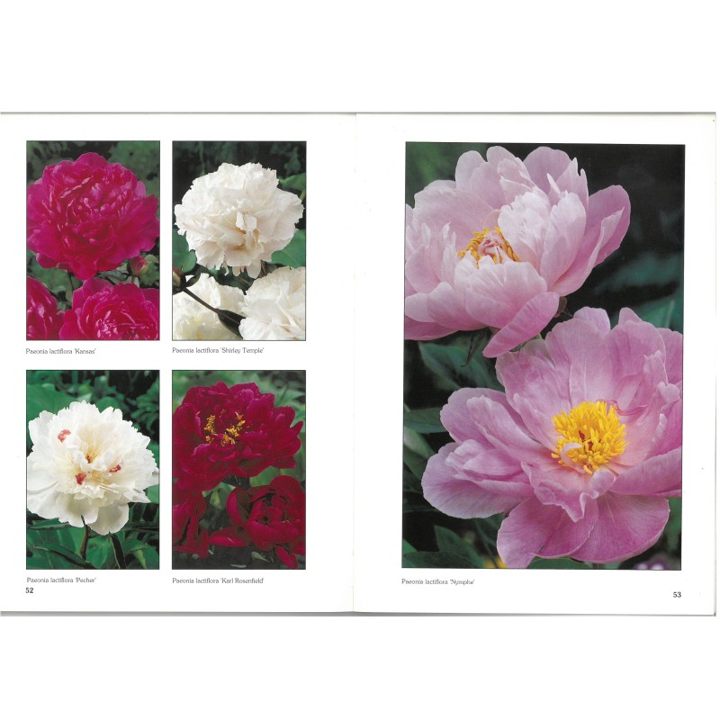 Catalogus 1992, voorjaar Catalogus 1992, voorjaar