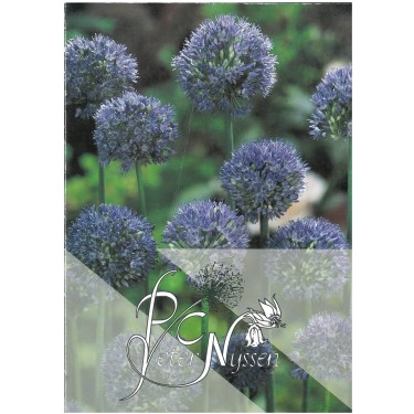 Catalogus 1992