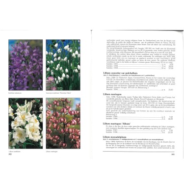 Catalogus 1992