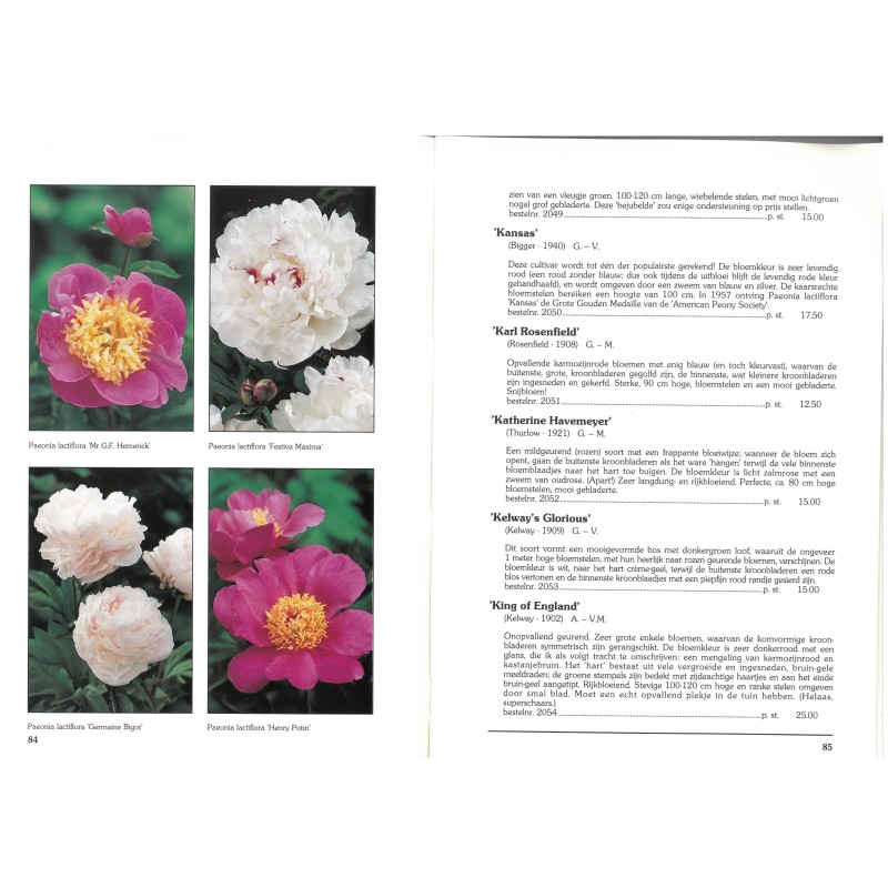 Catalogus 1993, voorjaar Catalogus 1993, voorjaar