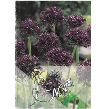 Catalogus 1993