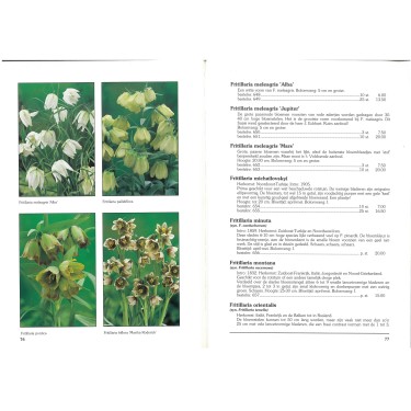 Catalogus 1993