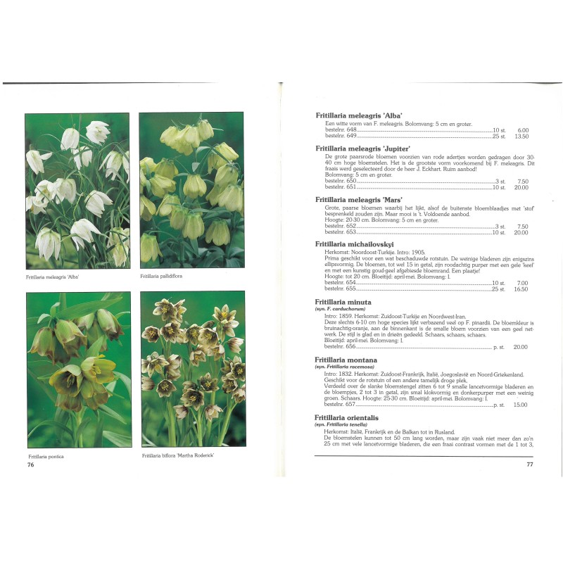 Catalogus 1993