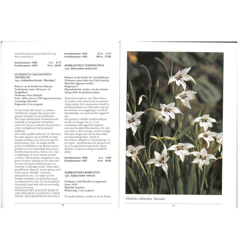 Catalogus 1994, voorjaar Catalogus 1994, voorjaar